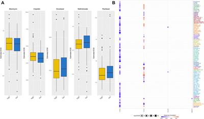 An Immune-Related Gene Signature Can Predict Clinical Outcomes and Immunotherapeutic Response in Oral Squamous Cell Carcinoma